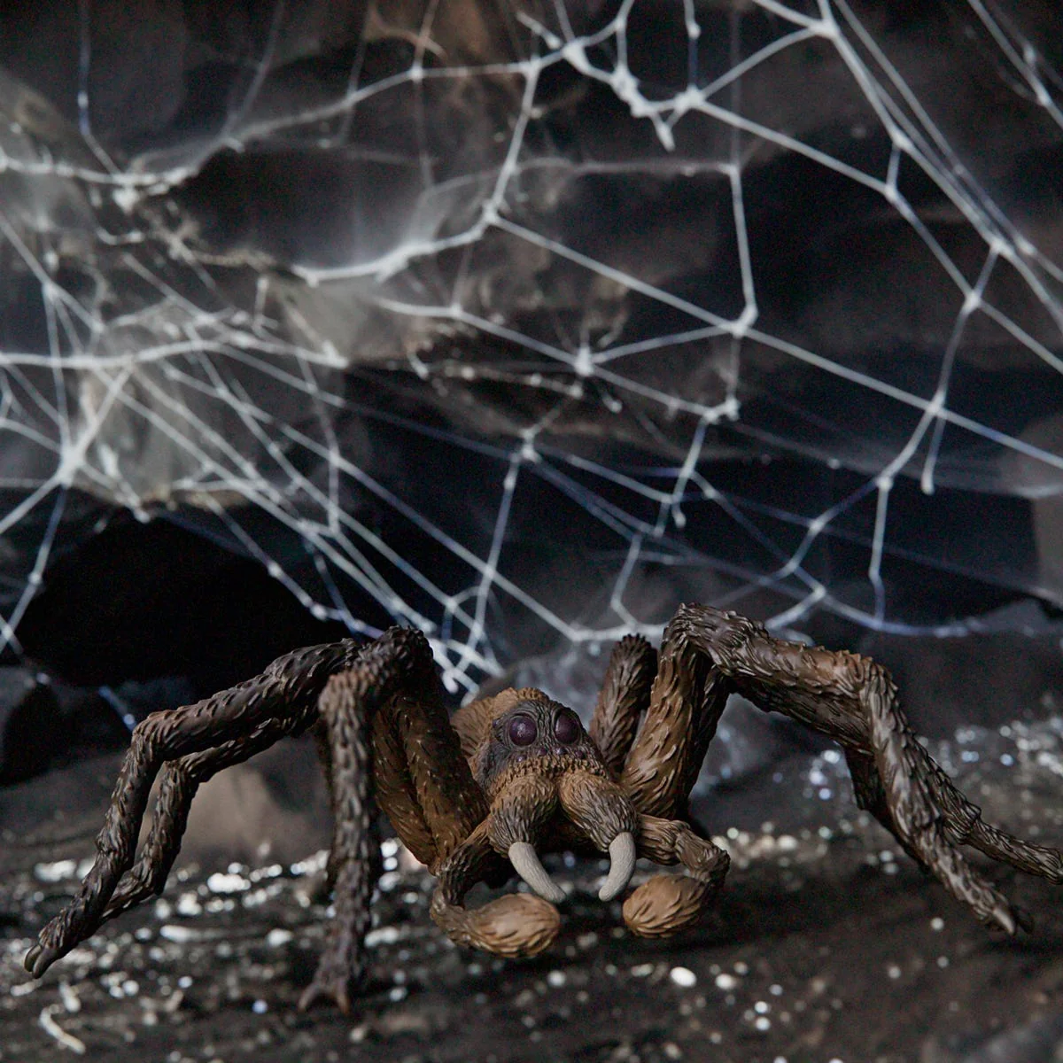 Aragog - Image 3