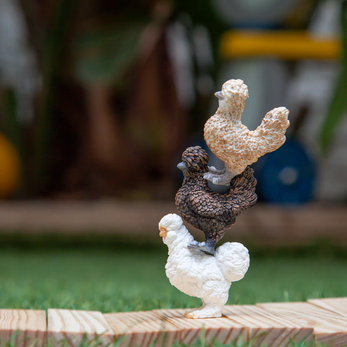 Amici polli - Image 3