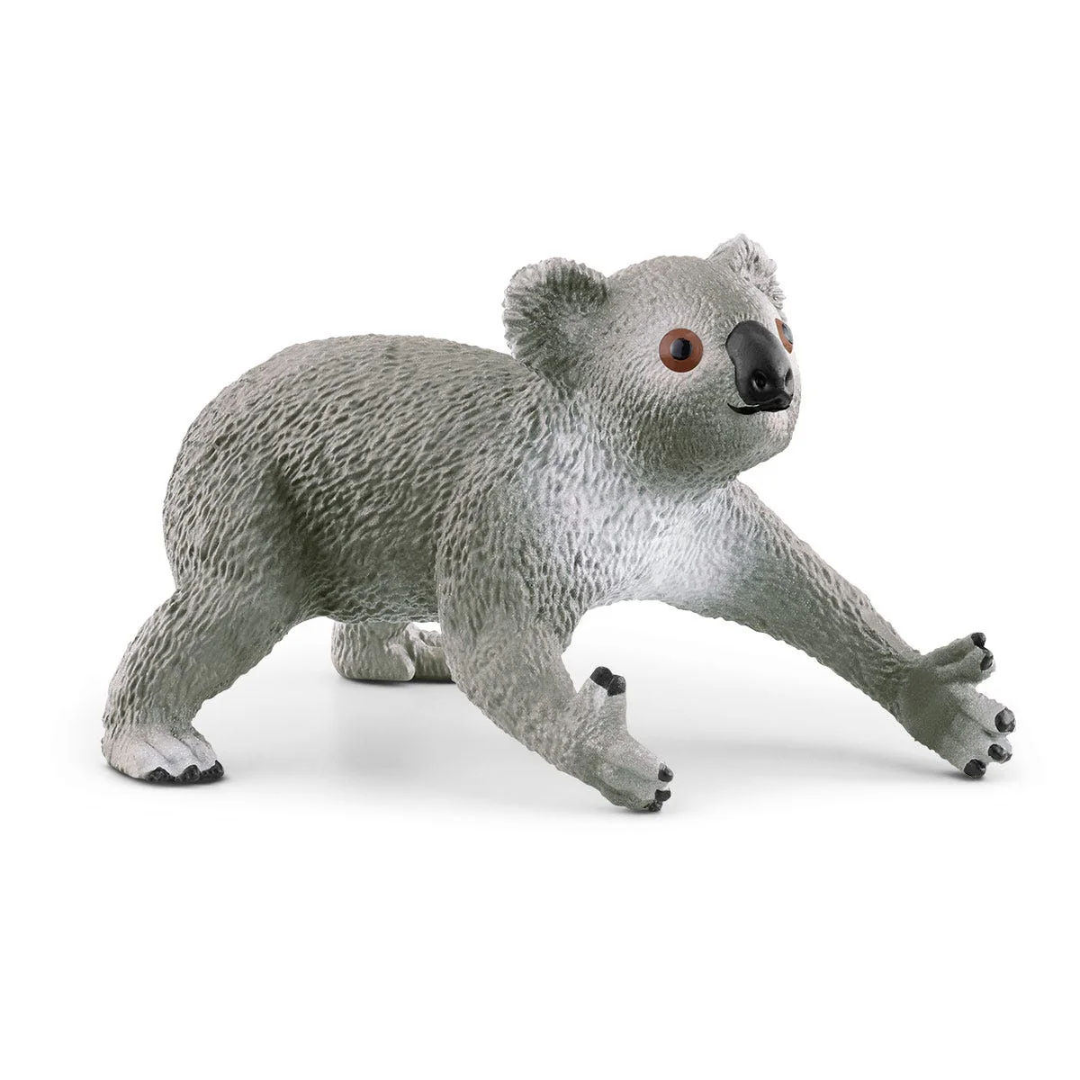 Mamma koala con cucciolo - Image 11