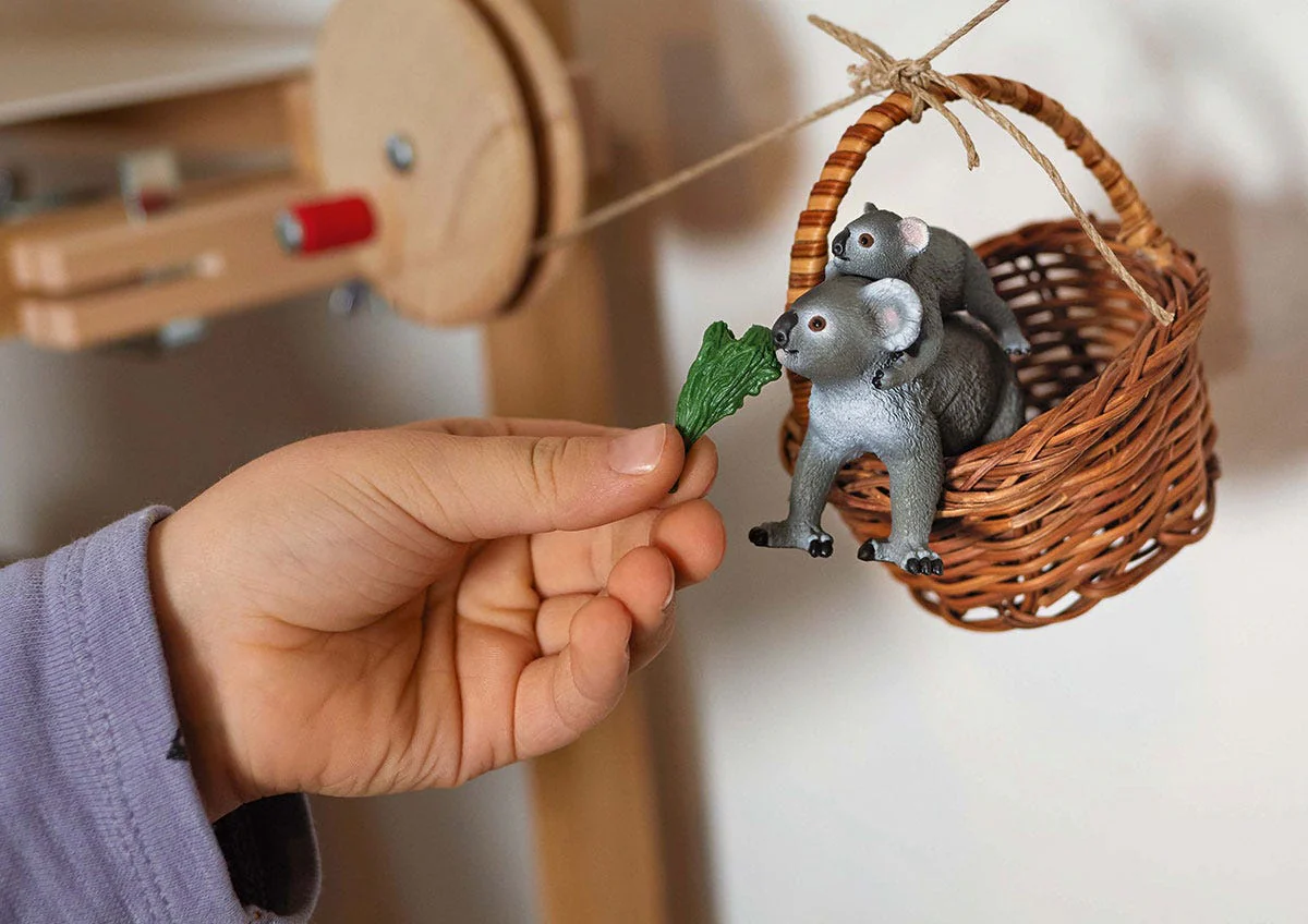 Mamma koala con cucciolo - Image 4