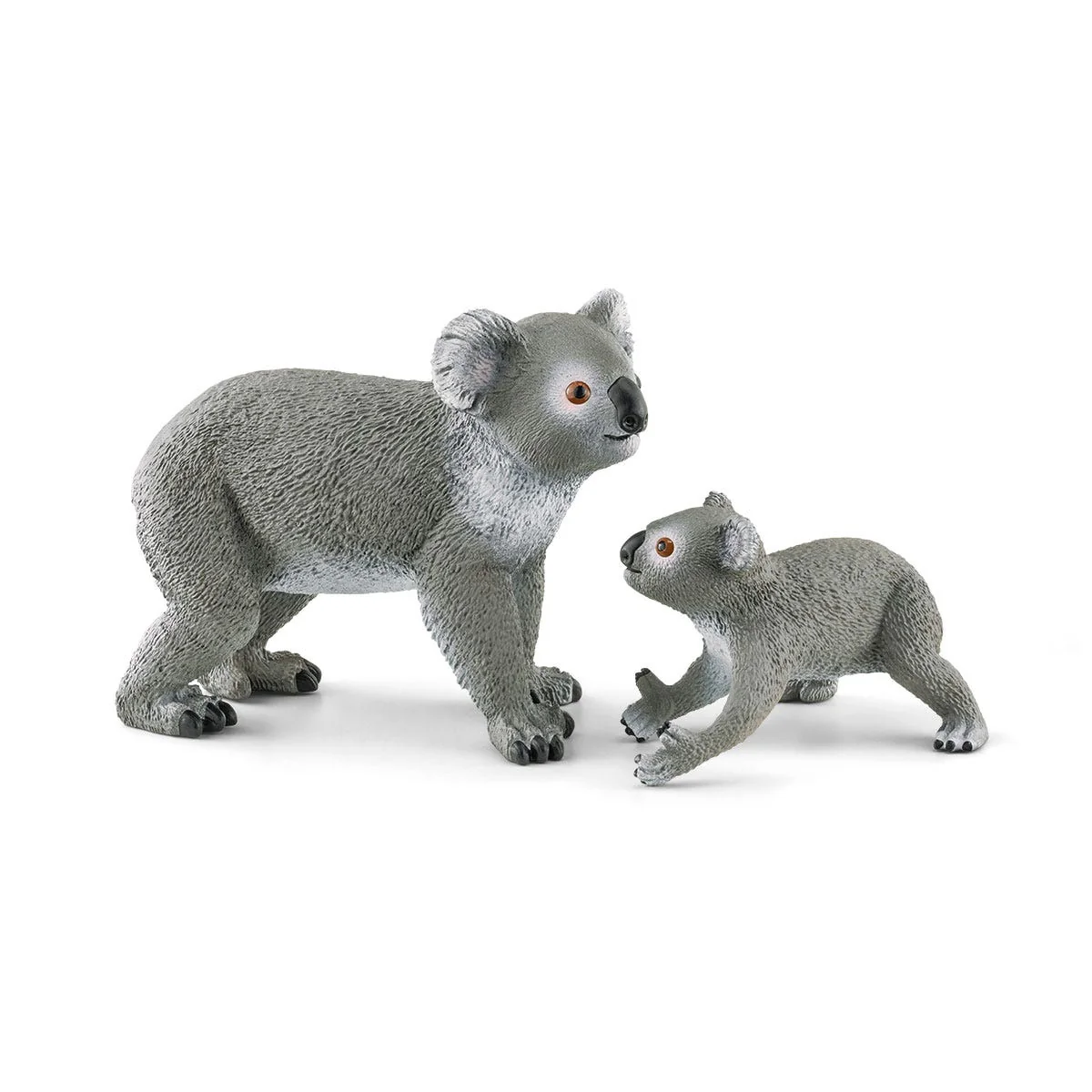 Mamma koala con cucciolo - Image 6