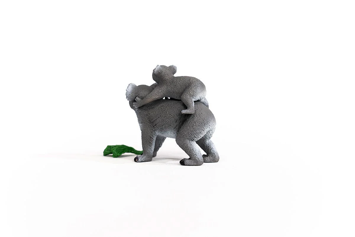 Mamma koala con cucciolo - Image 9