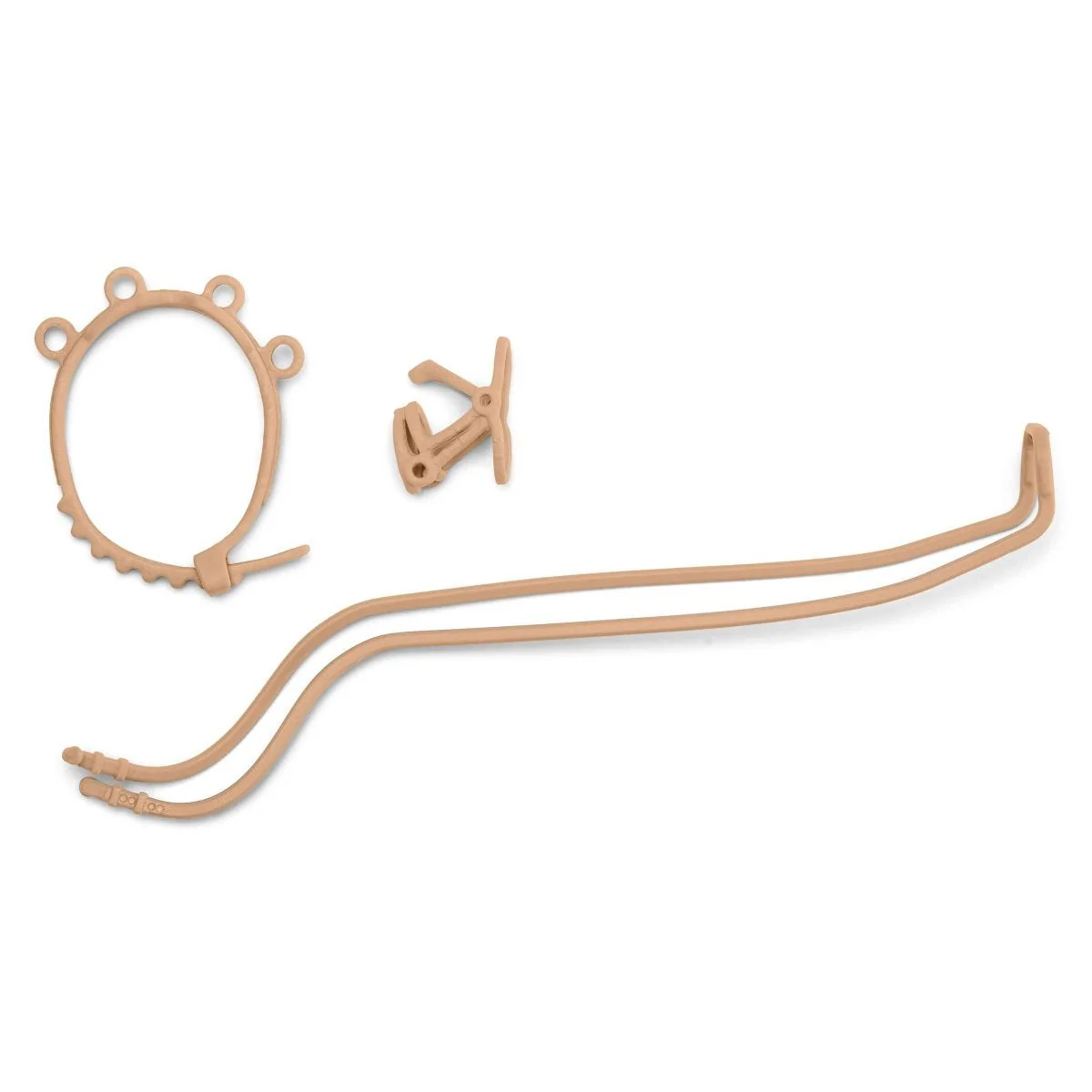 Carrozza per lo show dei cavalli - Image 10